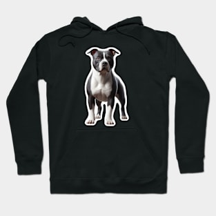 American Staffordshire Terrier Hoodie